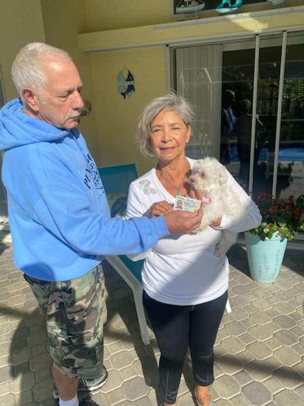 Customer photo of Maltese puppy from Steve T.