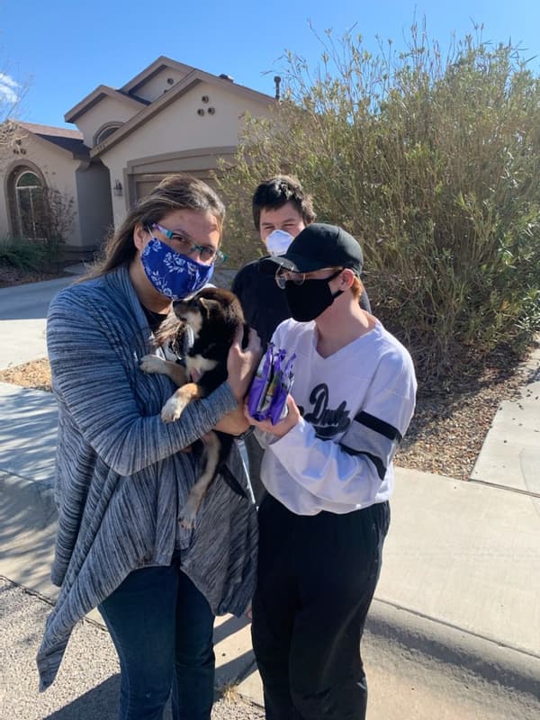 Customer photo of Shiba Inu puppy from Tiffany S.