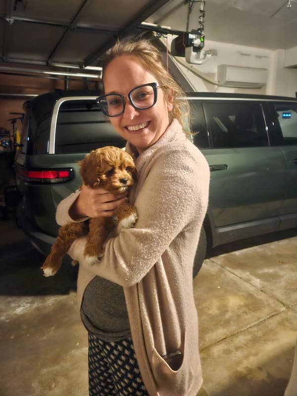 Customer photo of Cavapoo puppy from Regina D.