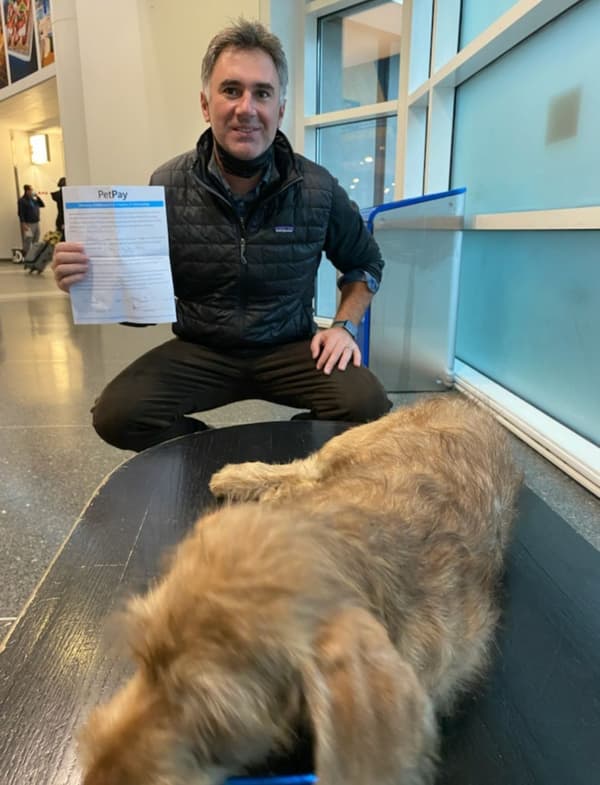 Customer photo of Pooahoula puppy from Daniel D.