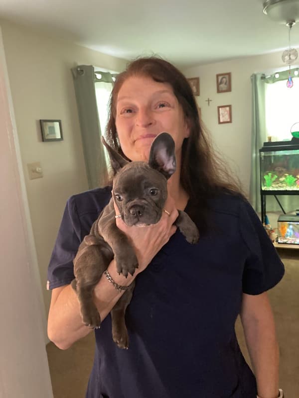 Customer photo of French Bulldog puppy from Jeanie Q.