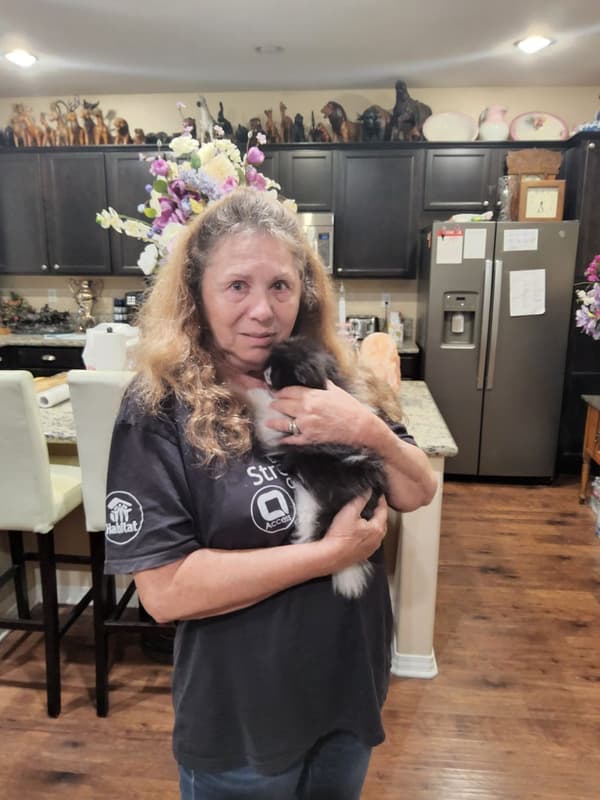 Customer photo of Pomeranian puppy from Karen T.