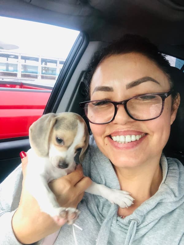 Customer photo of Beagle puppy from Isabel G.