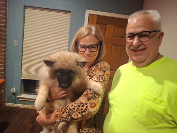 Customer photo of Keeshond puppy from John S.