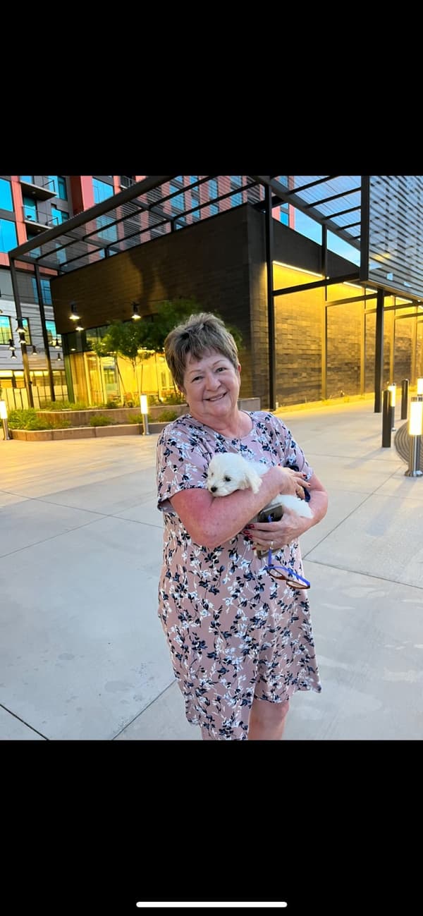 Customer photo of Maltese puppy from Janet B.