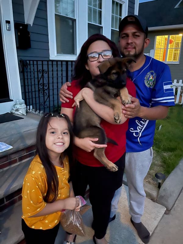 Customer photo of German Shepherd puppy from Cecilia D.