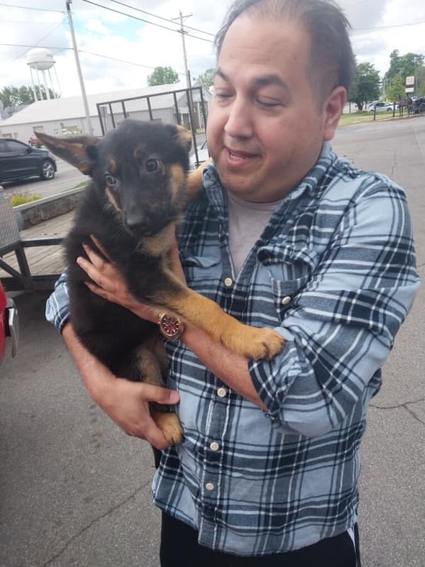 Customer photo of German Shepherd puppy from Raul C.