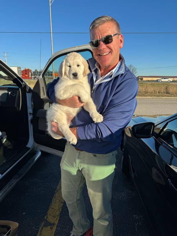 Customer photo of English Golden Retriever puppy from Darren B.