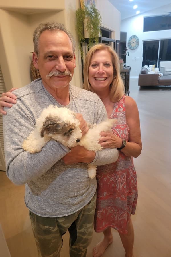 Customer photo of Bernedoodle, Mini puppy from Meryl C.