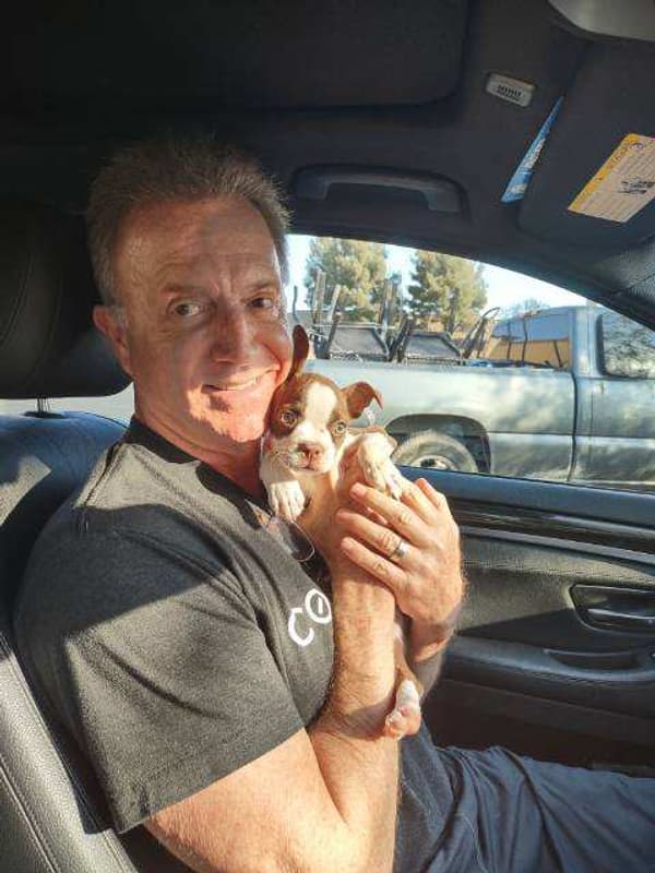 Customer photo of Boston Terrier puppy from Roger J.