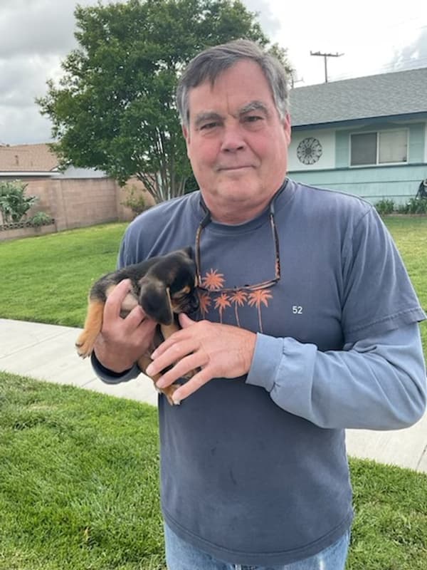 Customer photo of Puggle puppy from Roger W.