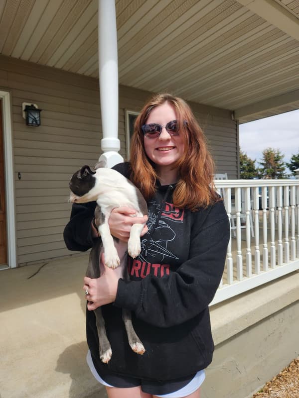 Customer photo of Boston Terrier puppy from Jayden B.