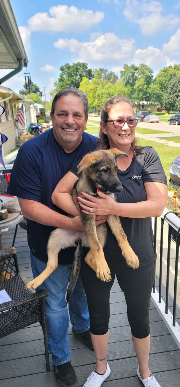 Customer photo of German Shepherd puppy from Roland S. 