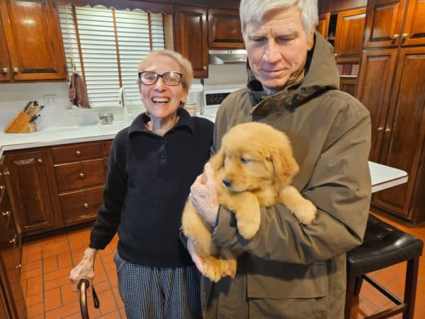 Customer photo of Golden Retriever puppy from Ornsteen J.