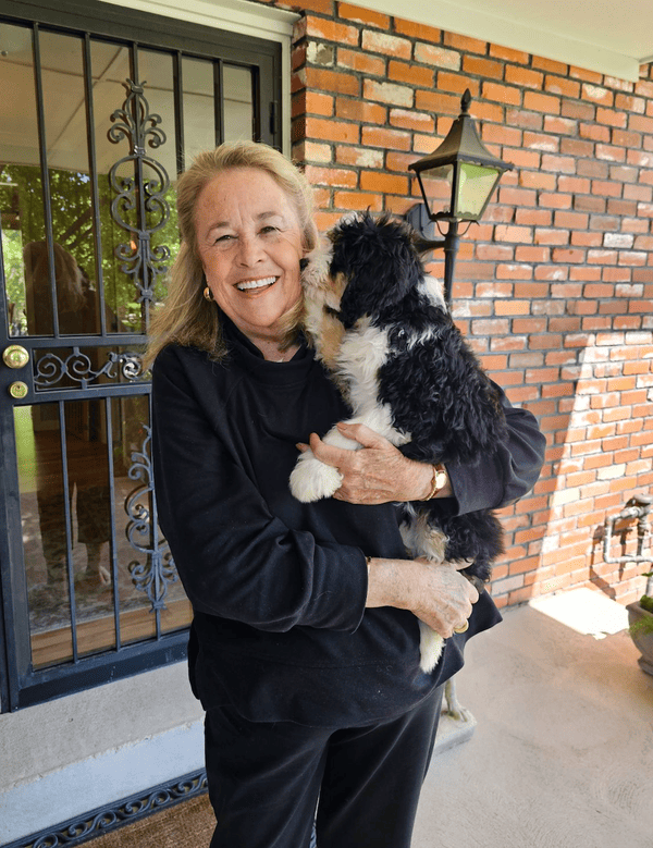 Customer photo of Bernedoodle, Mini puppy from Anne C.