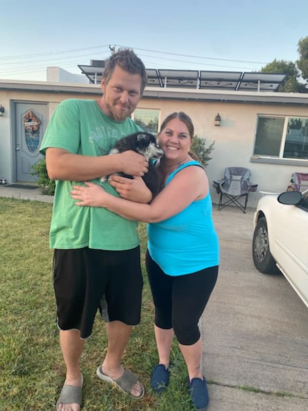 Customer photo of Pomsky puppy from Angela G. 