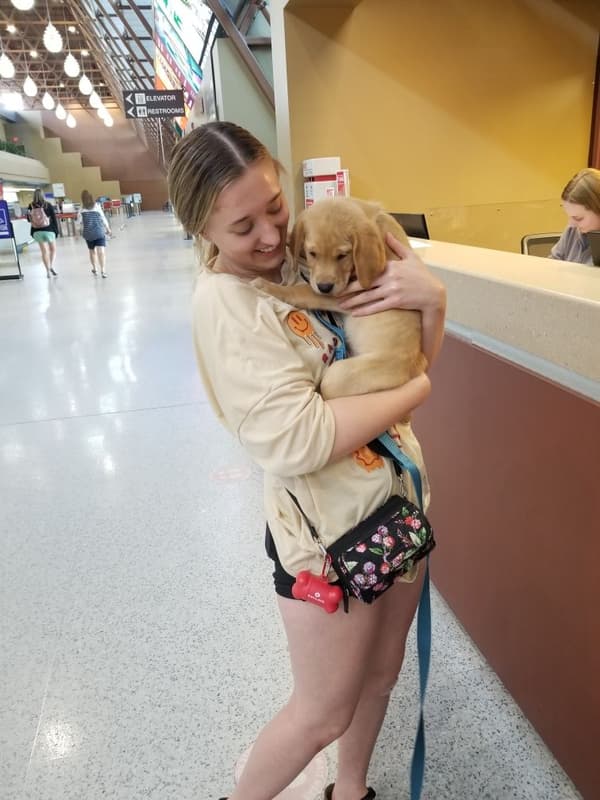 Customer photo of Goldador puppy from Heidi D.