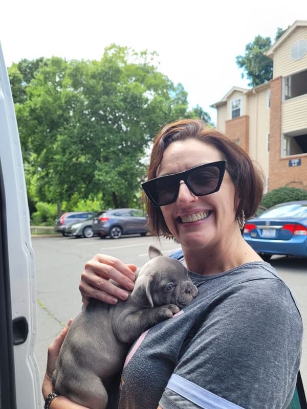 Customer photo of French Bulldog puppy from Heather