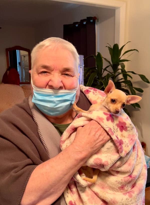 Customer photo of Chihuahua puppy from Carol R. 