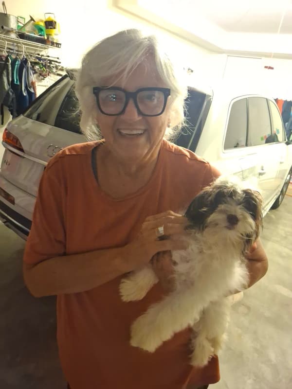 Customer photo of Havanese puppy from Barbara S.