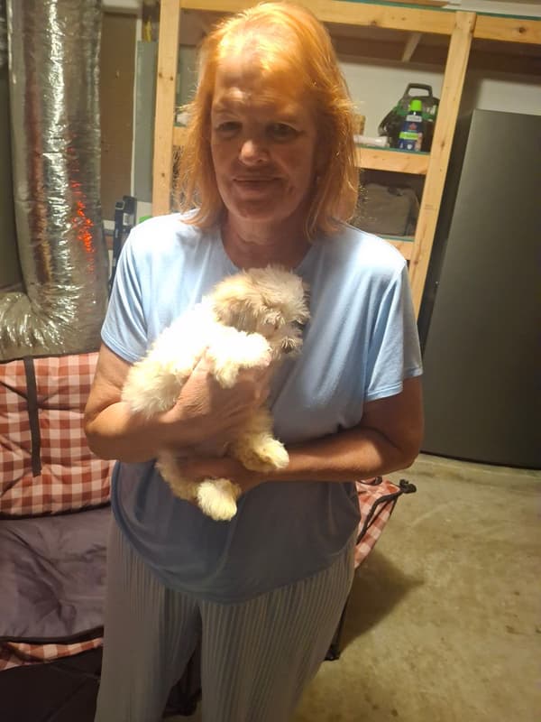 Customer photo of Havanese puppy from Rosanna P.