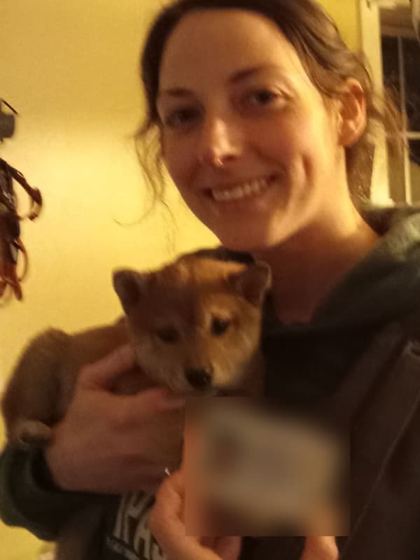 Customer photo of Shiba Inu puppy from Emily B.