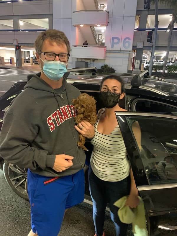 Customer photo of Cavapoo puppy from James G.