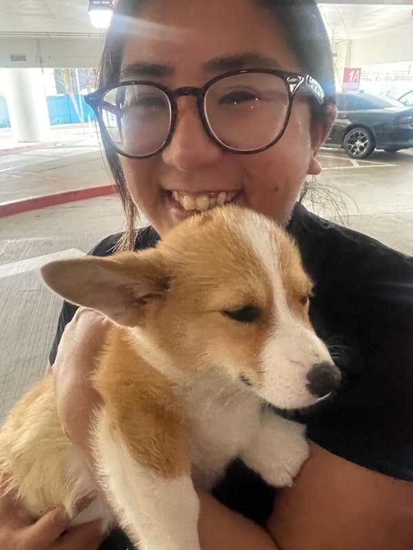 Customer photo of Corgi, Pembroke Welsh puppy from Starr G.