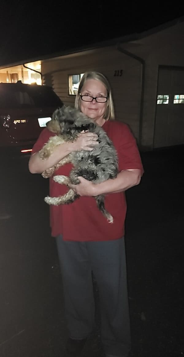 Customer photo of Bernedoodle puppy from Linda H.