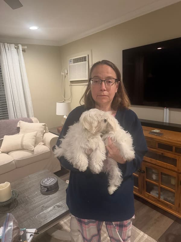 Customer photo of Maltese puppy from Debbie J.