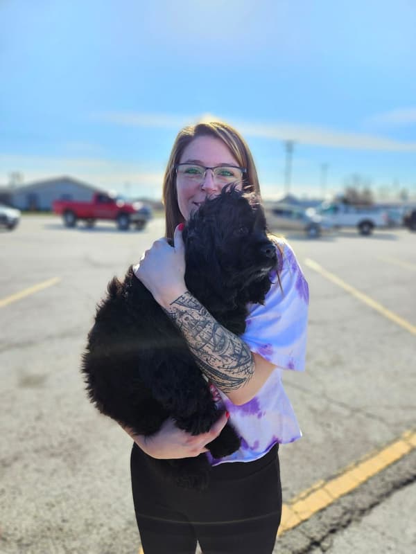 Customer photo of Cocker Spaniel puppy from Stephanie T.