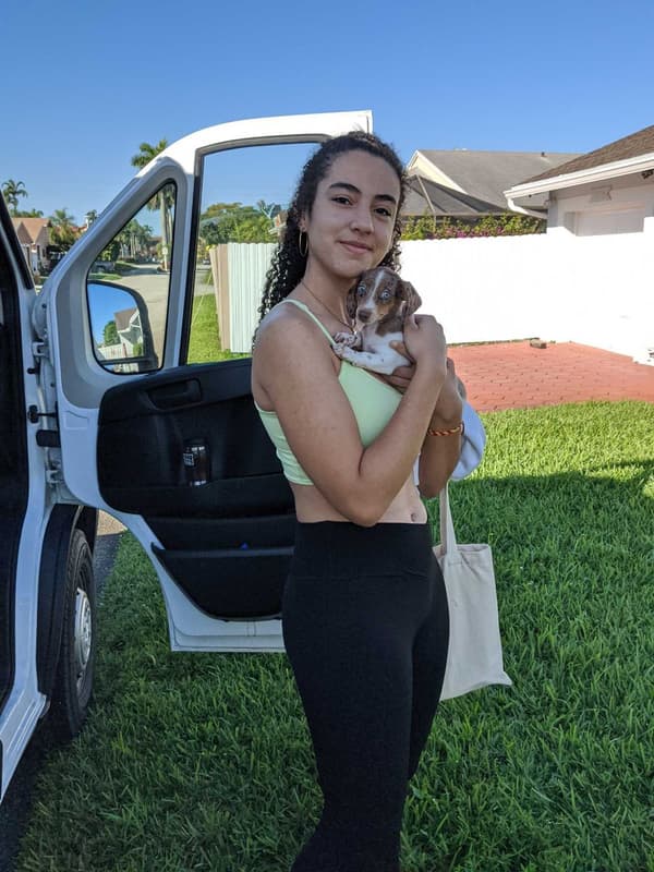 Customer photo of Dachshund, Mini puppy from Hailey C.