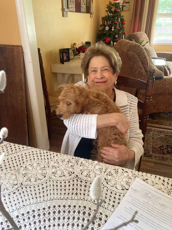 Customer photo of Goldendoodle, Mini puppy from Kathleen C.