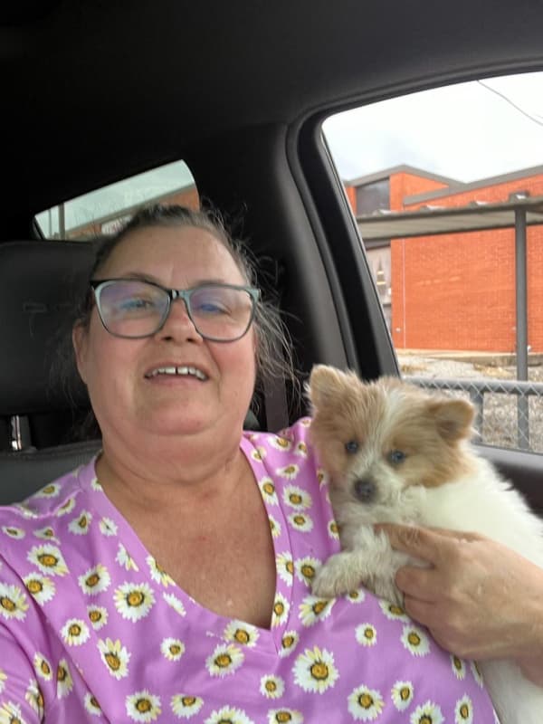 Customer photo of Pomeranian puppy from Teresa L.