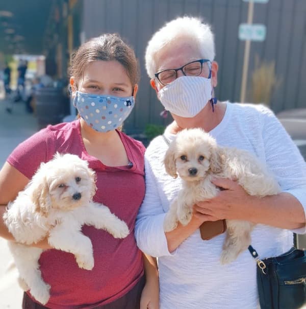 Customer photo of Cockachon puppy from Jennifer S.