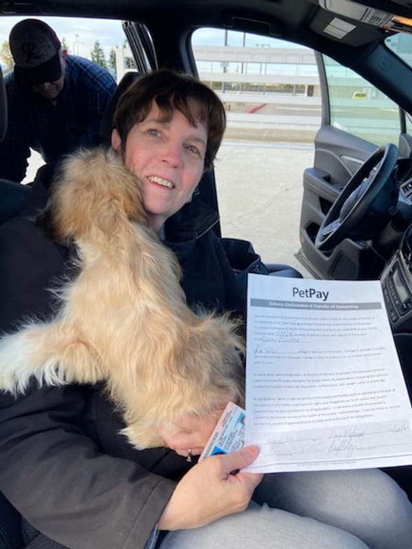 Customer photo of Cavachon puppy from Kim T.