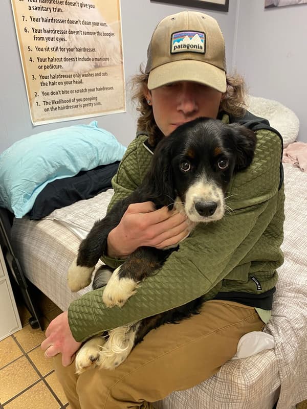 Customer photo of Mixed/Other puppy from Erin R.