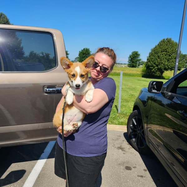 Customer photo of Corgi, Pembroke Welsh puppy from Anthony A.