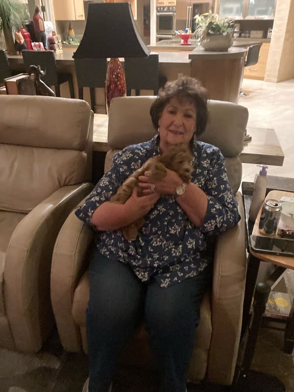 Customer photo of Malti Poo - Maltipoo puppy from Gale C.