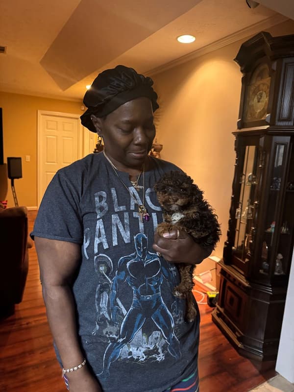 Customer photo of Poodle, Toy puppy from Delilah D.