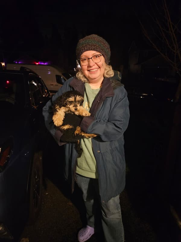 Customer photo of Malti Poo - Maltipoo puppy from Paul I.