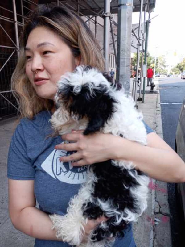Customer photo of Cavapoo puppy from Christine K.