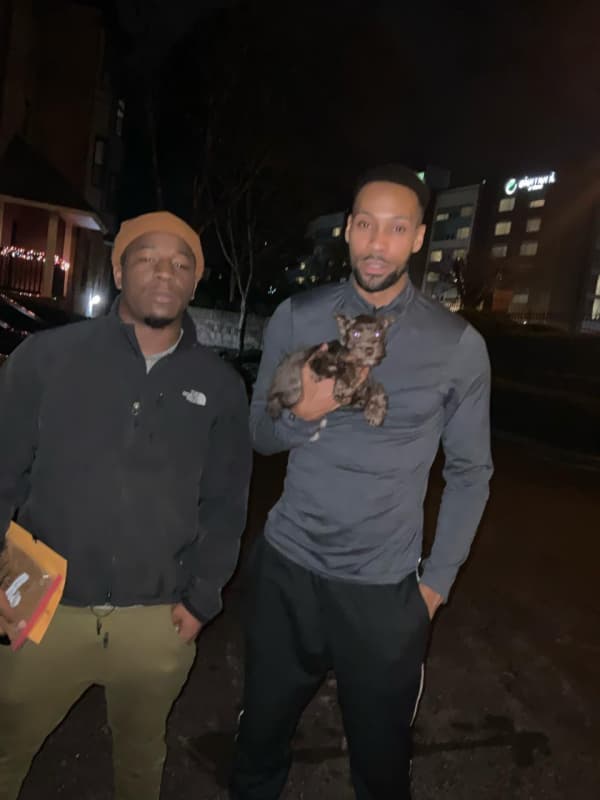 Customer photo of Schnauzer, Miniature puppy from Chad F.