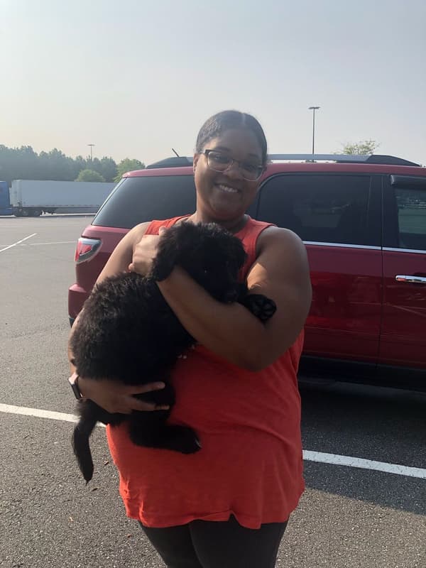 Customer photo of Bernedoodle puppy from Markeisha