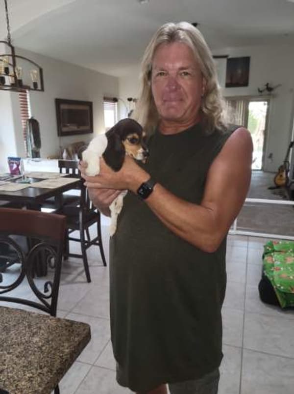 Customer photo of Beagle puppy from Kristen S.