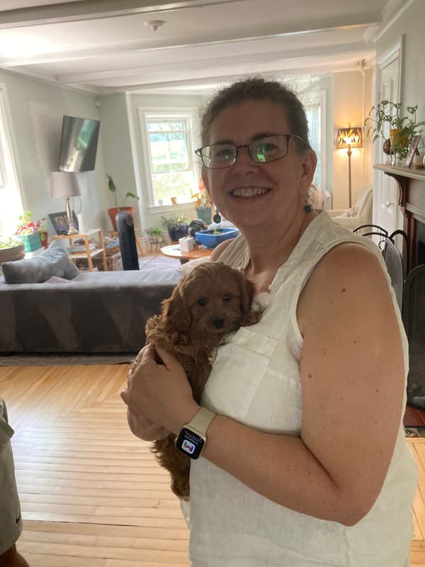Customer photo of Cavapoo puppy from Karen B.