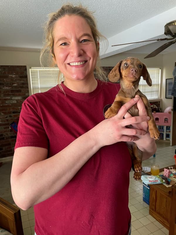 Customer photo of Dachshund, Mini puppy from Jennifer J.