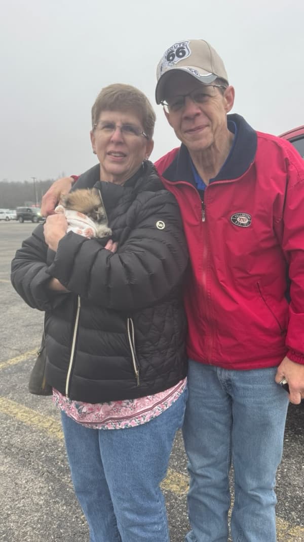 Customer photo of Pomeranian puppy from Brian F.