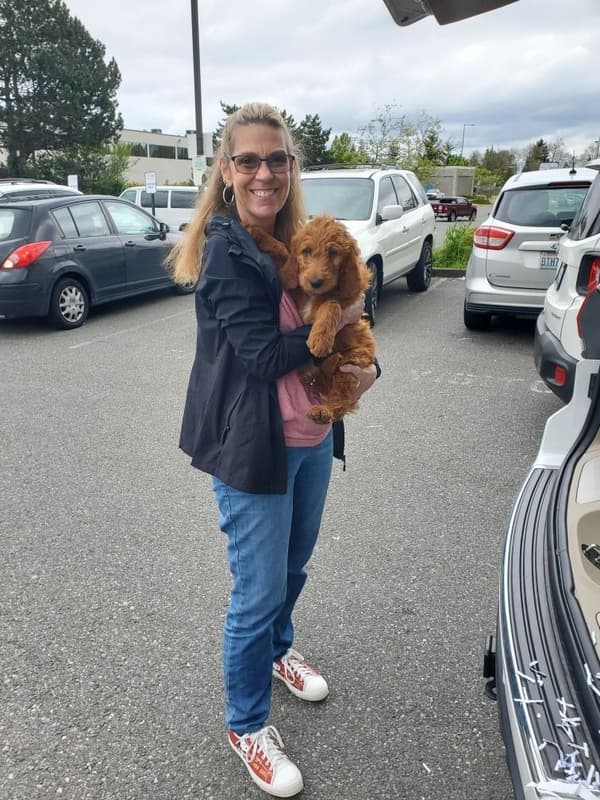 Customer photo of Goldendoodle puppy from Kelley O.
