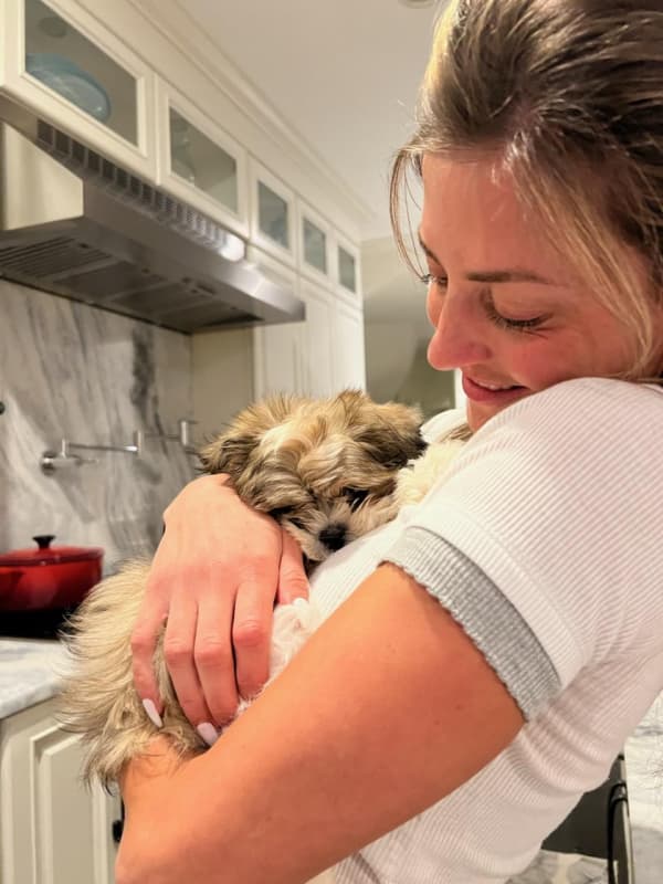 Customer photo of Shih Tzu puppy from Joseph C.